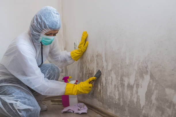 Best Mold Testing  in Sylvan Lake, MI