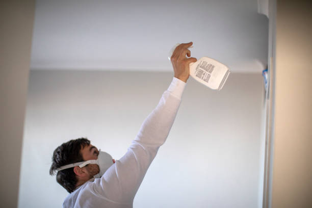 Reliable Sylvan Lake, MI Mold Removal Solutions