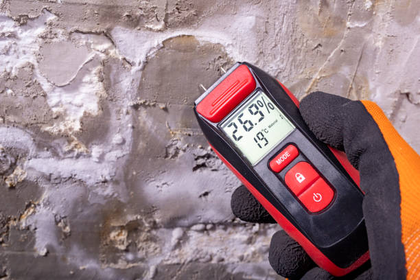 Mold Removal and Inspection in Sylvan Lake, MI